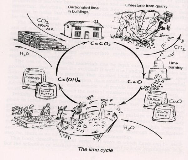 Lime Cycle