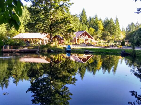 Vernonia Springs