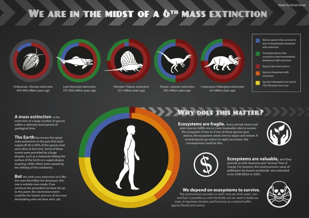 6th Mass Extinction Image