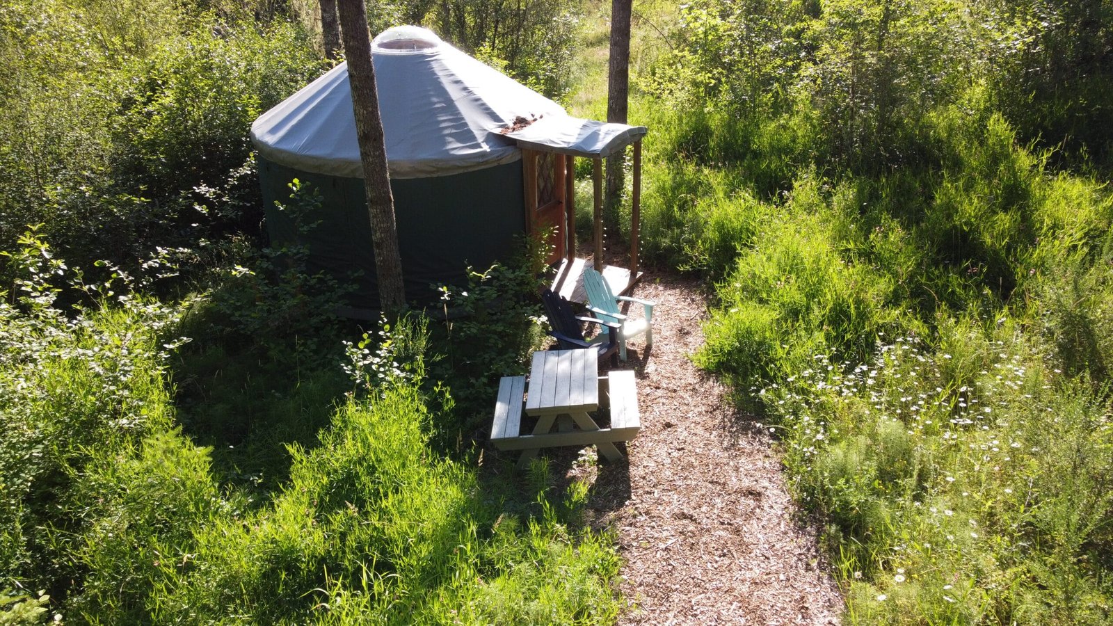 User Experience Design Essentials