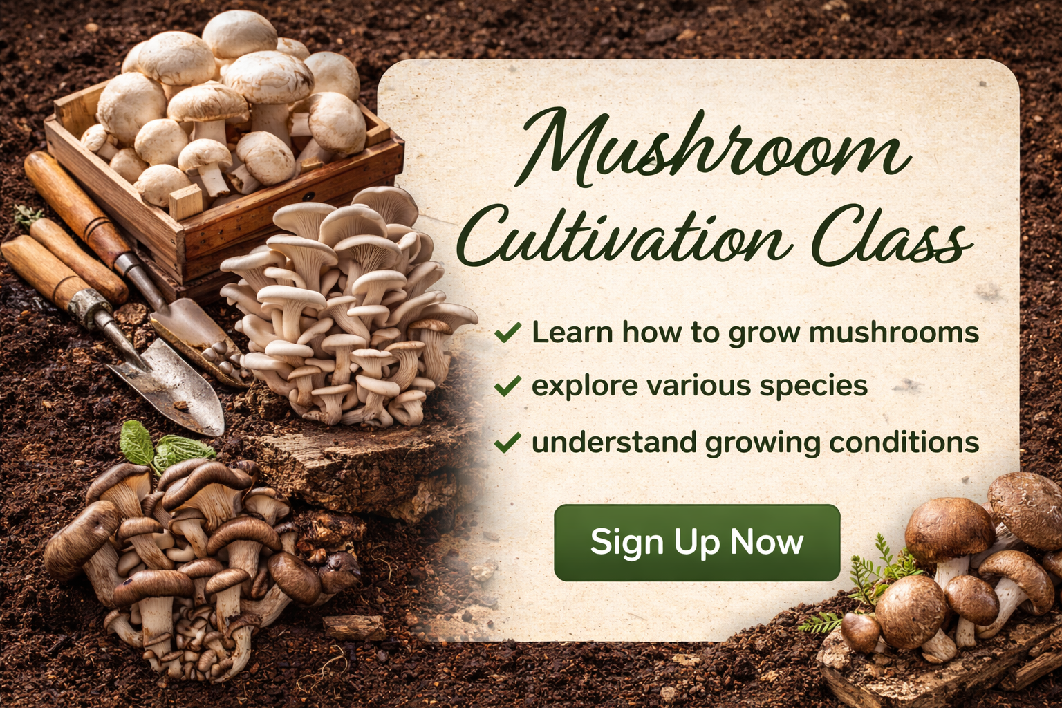 Mushroom Cultivation & Fungi Ecology